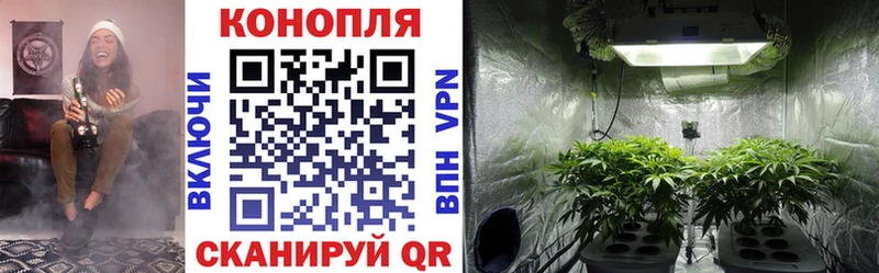 Каннабис ГИДРОПОН  Купить где  Дятьково 